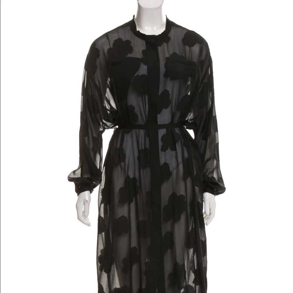 Elizabeth and James knee length sheer dress